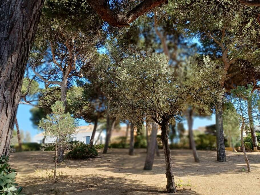 יפראנק Apartamento Roc Mar מראה חיצוני תמונה