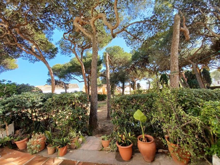 יפראנק Apartamento Roc Mar מראה חיצוני תמונה
